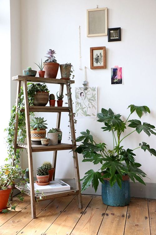 10 ideas en maceteros y plantas de interior para decorar por muy poco