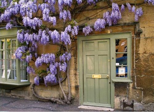 flores violetas puerta verde casasugar