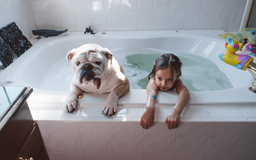 Fotografía de Harper y Lola bañándose