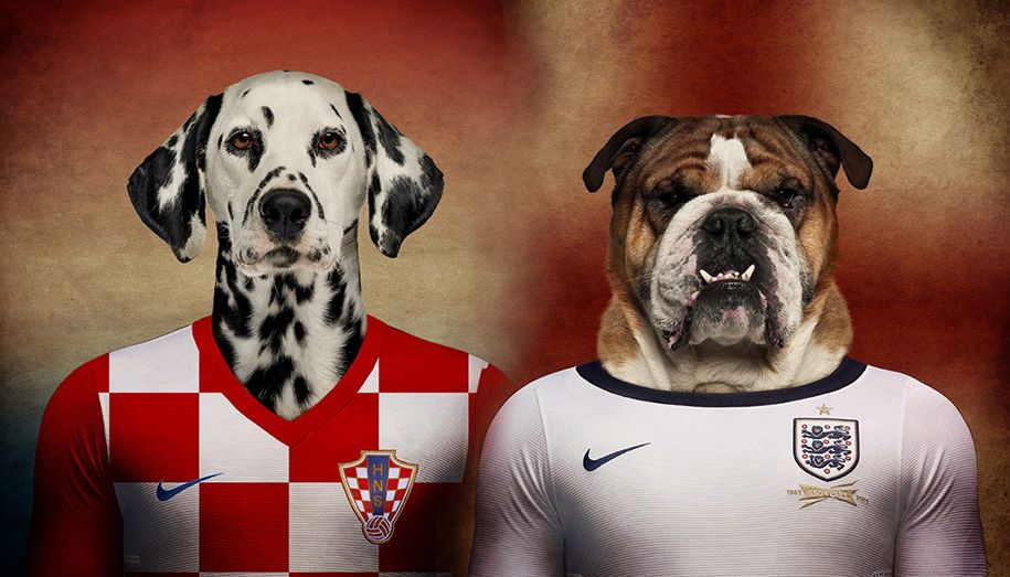 Una selección de perros con camisetas del Mundial