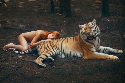durmiendo con el tigre