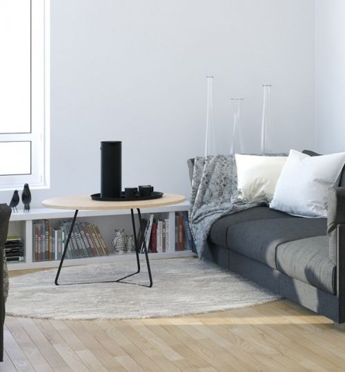 Scandinavian-Studio-Apartment-living-in-monochrome-with-slate-couch-and-natural-wood-flooring-600x648