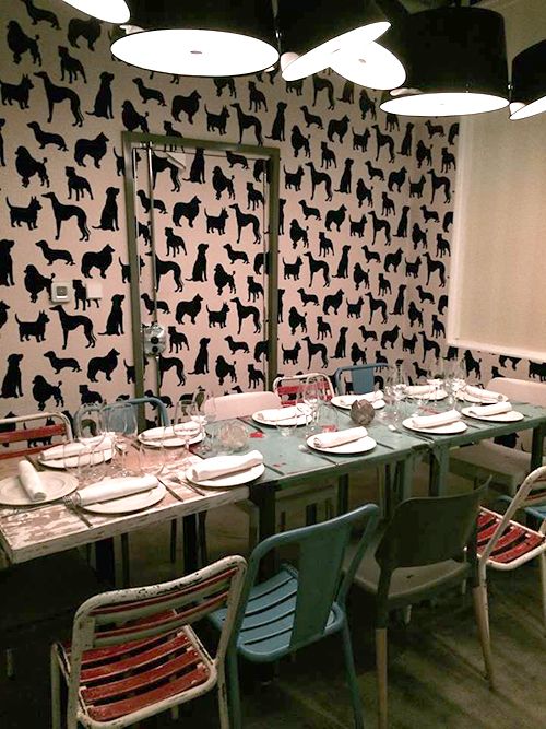 interior decoracion canina perrito faldero restaurante madrid