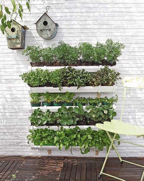 huerto urbano vertical pared jardineras autocultivo ciudad ecologico