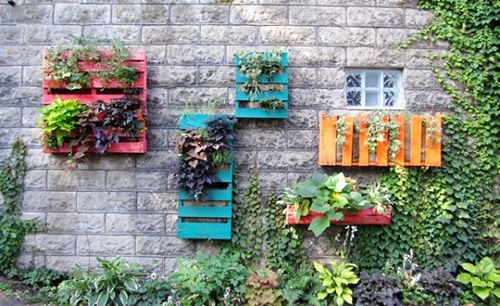 jardin vertical palets reciclaje cultivo ecologico huertos urbanos