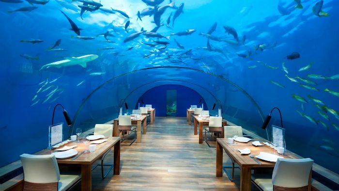 restaurante submarino peces