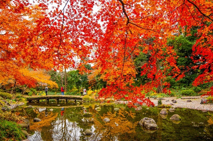 Jardin botanico de tokio en otoño