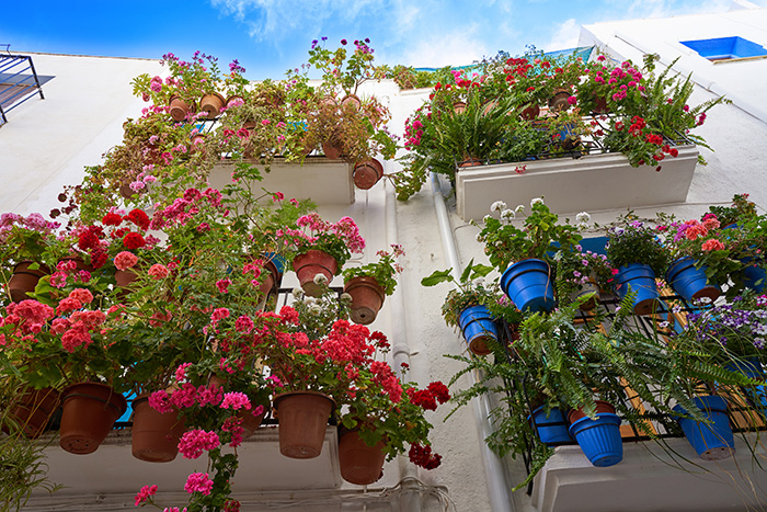 Flores coloridas en maceteros colgantes en balcones pequeños