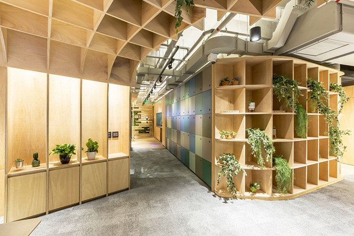 IT'S Informov oficina diseño biofílico plantas