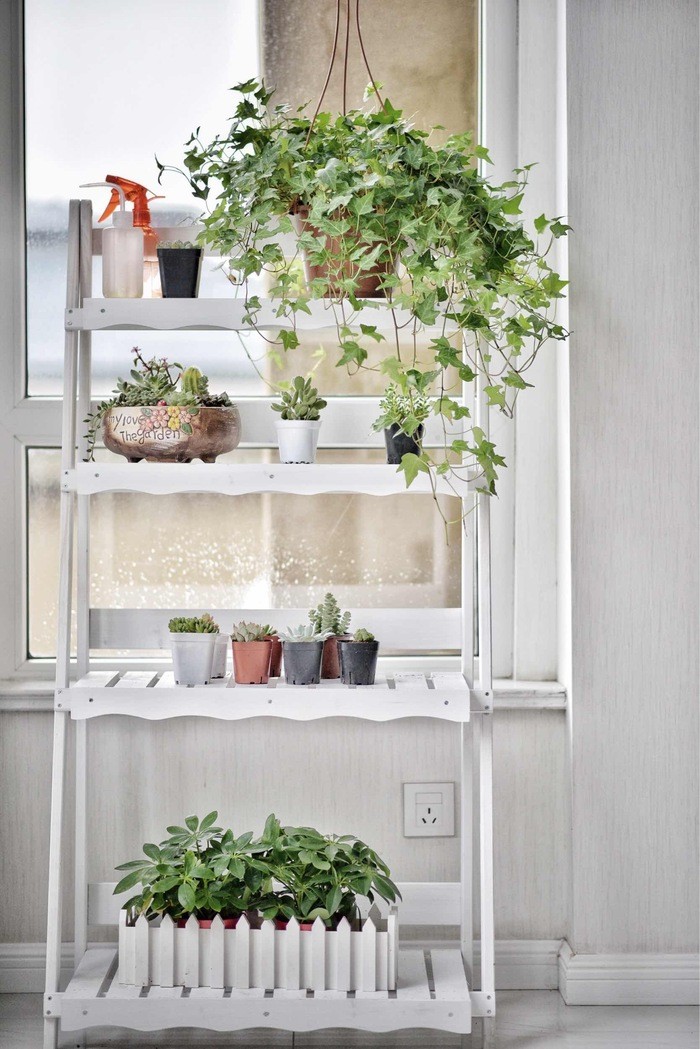 decoración estantería con plantas