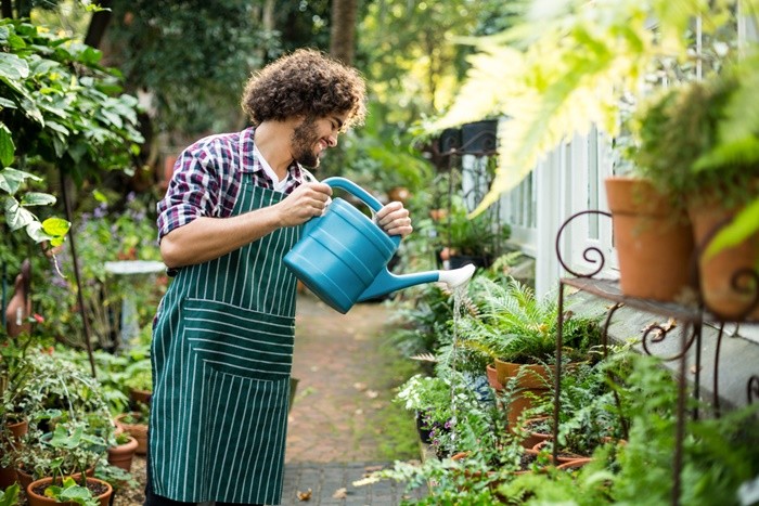 hombre regando jardin plantas