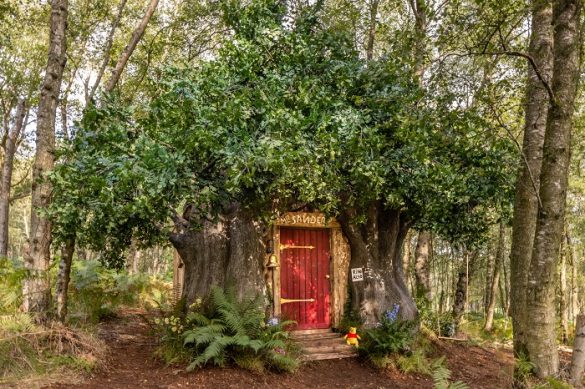 casa de Winnie the Pooh en el bosque con Airbnb