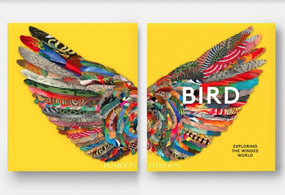 libros arte aves