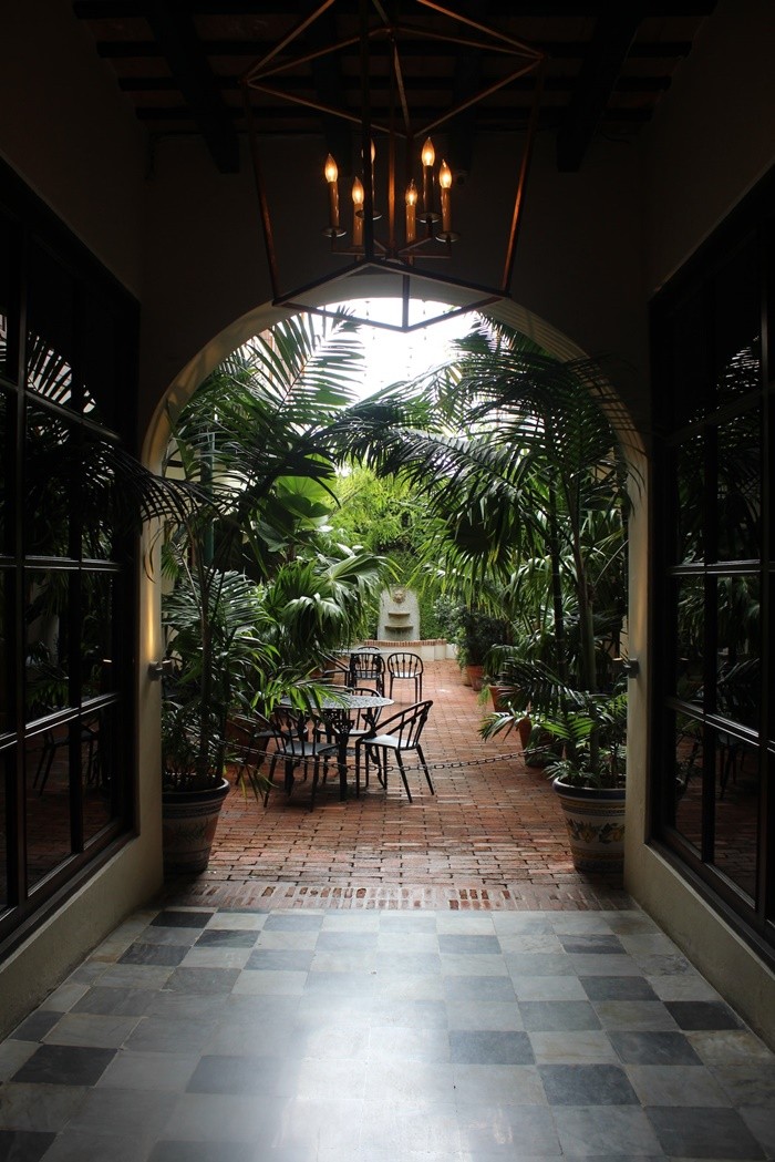 arco patio interior plantas
