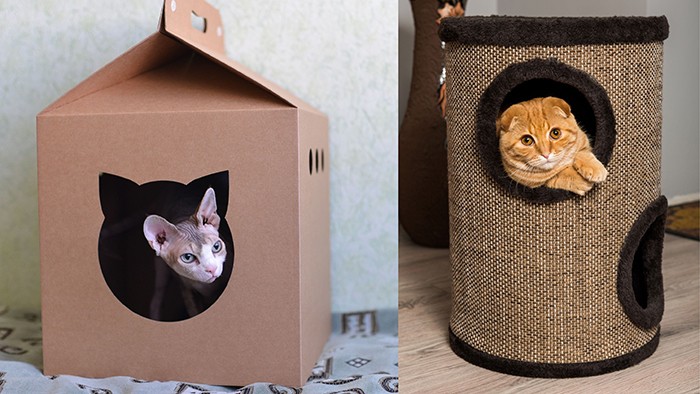 cuarto de carton para gatos