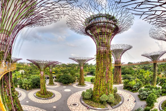 jardines arboles gigantes singapur