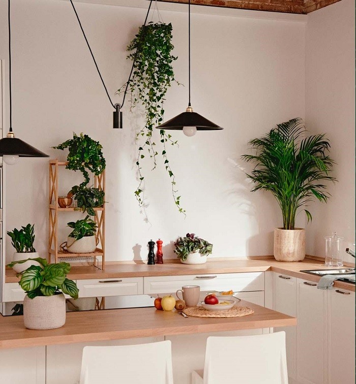cocina con decoración con plantas westwing