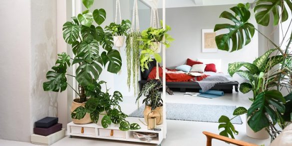Interior de un hogar con plantas
