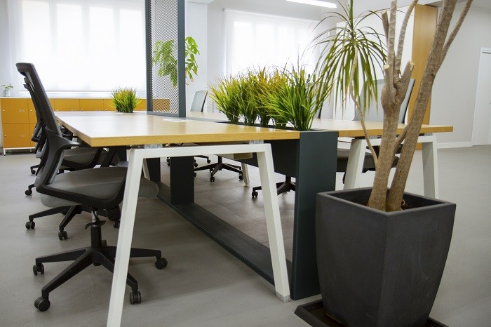 mesa y sillas de oficina con plantas