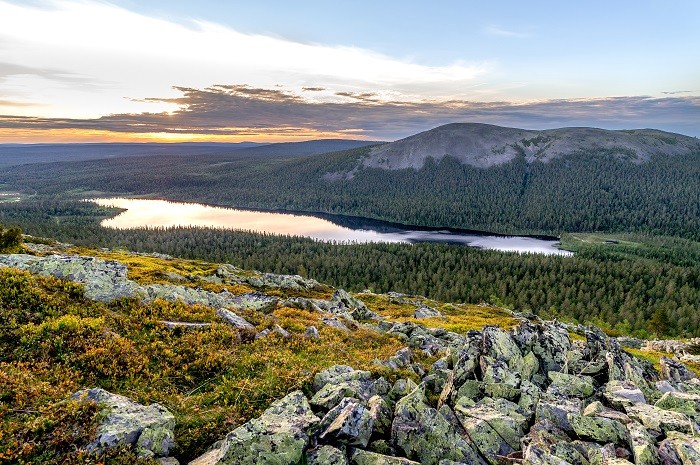 vistas de bosque y lago de Finlandia