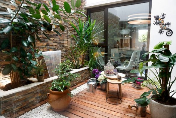 terraza pequeña con decoración con plantas