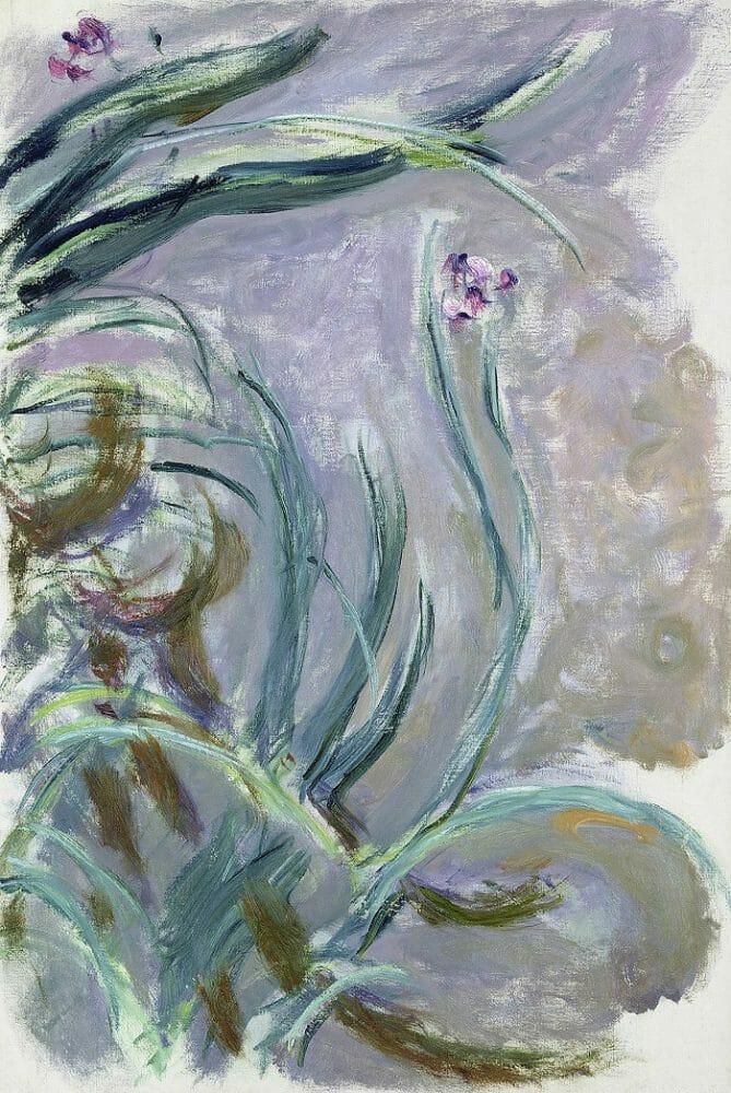 Cuadro impresionista de Monet Iris