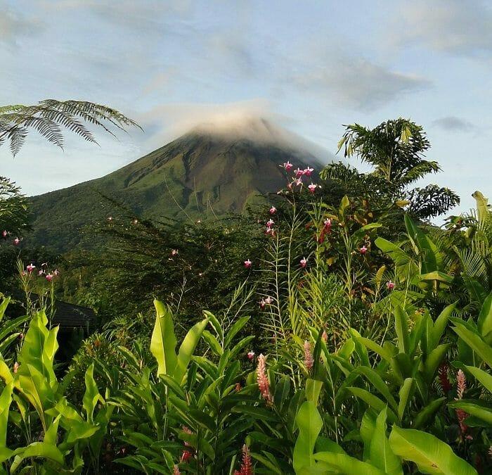 Una Luna de Miel en Costa Rica… ¿Safari en la jungla de Monteverde?