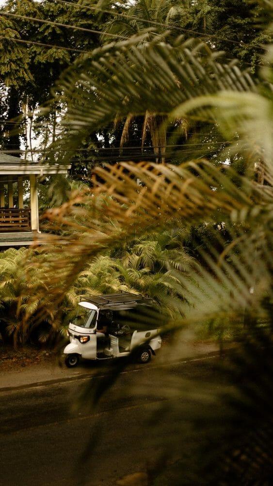 Puente entre vegetación de Costa Rica y una camioneta