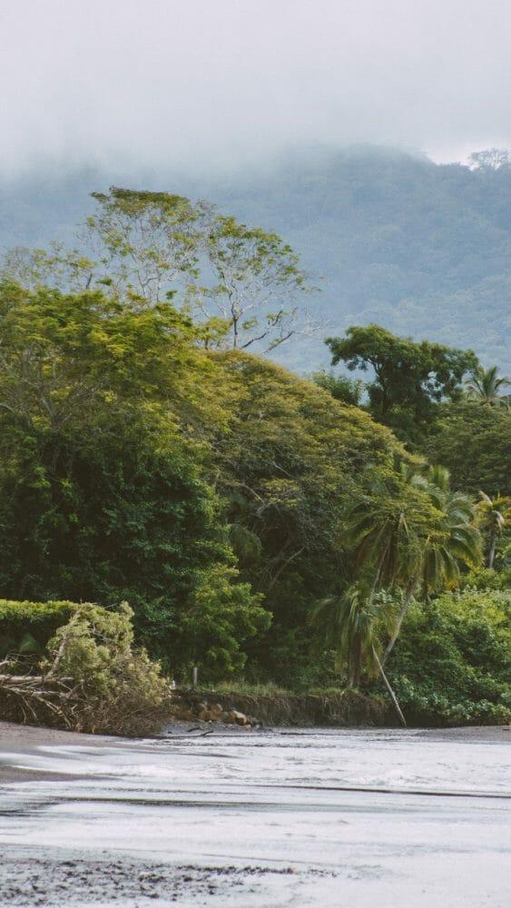 Vegetación con lago de Costa Rica