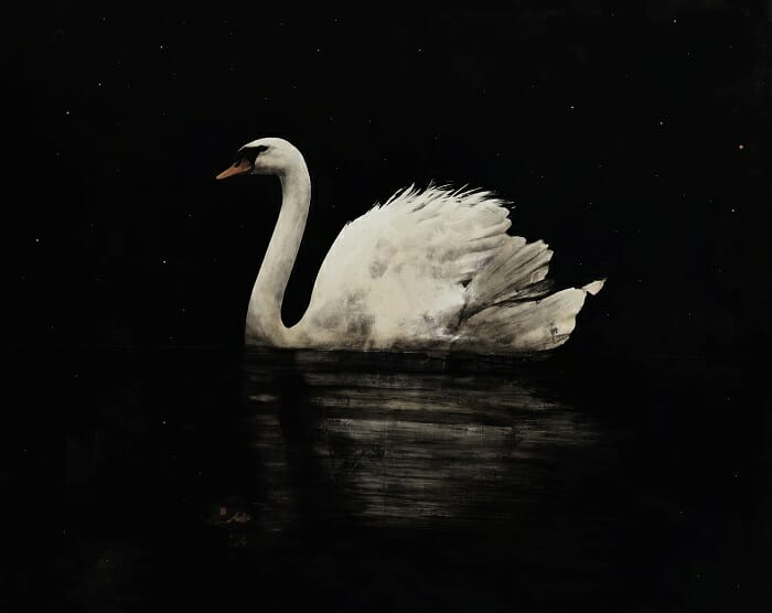 Dibujo de un cisne blanco sobre oscuridad