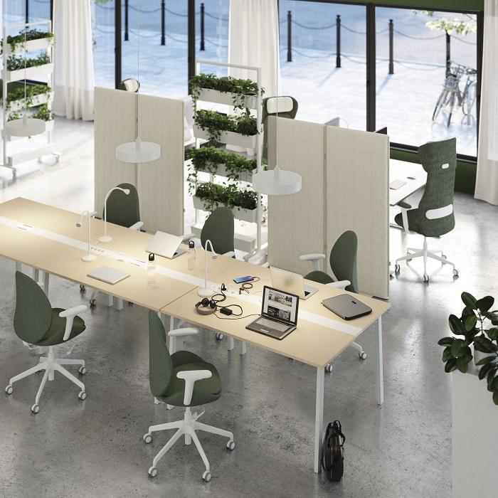 Vista de una zona de mesa y sillas ergonómicas de una oficina con vegetación de decoración