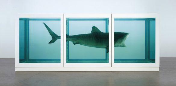 obra de arte contemporáneo tiburon pecera