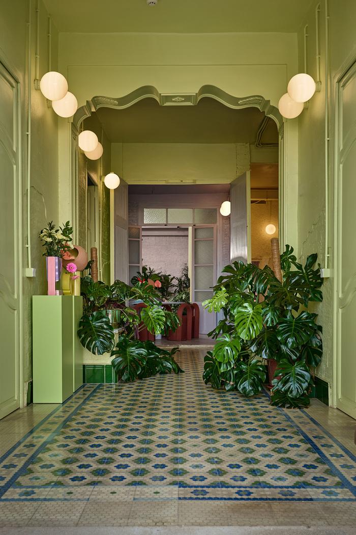 pasillo con plantas y paredes verdes de masquespacio
